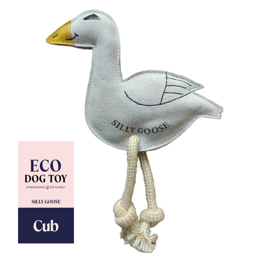 Silly Goose Eco Dog Toy